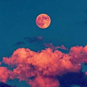 Meet your Posher, Theo